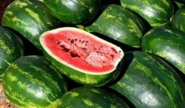 各种网红大瓜免费吃,揭秘娱乐圈幕后风云